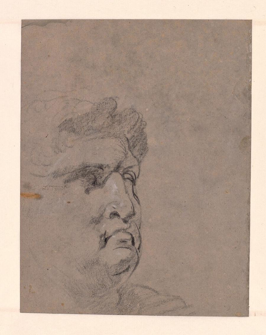 Study After an Antique Head