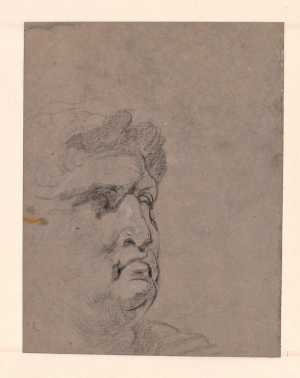study-after-an-antique-head