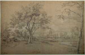 hilly-landscape-with-trees-on-a-lake-shore