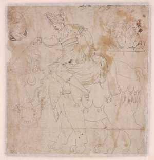 woman-riding-an-elephant