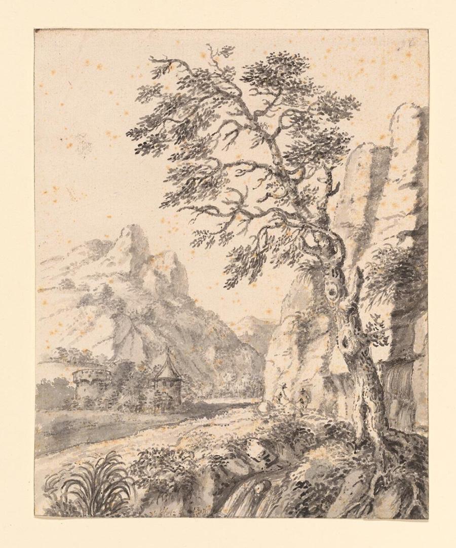 Hoge boom in rotsachtig landschap