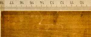 TMSFoto/PK/WM inv DN 110-7 detail Pot fragment onder.jpg