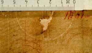TMSFoto/PK/WM inv I 113 detail.jpg