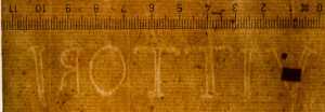 TMSFoto/PK/WM inv I 20 VITTORI detail.jpg