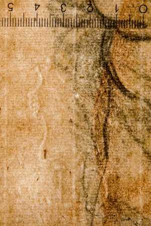TMSFoto/PK/WM inv I 420 detail Hoofd-GM.jpg