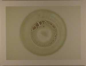 spot-2001-01