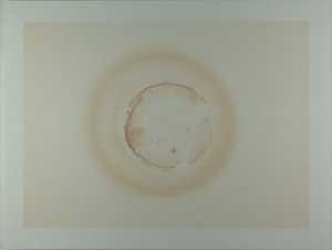 spot-2001-03