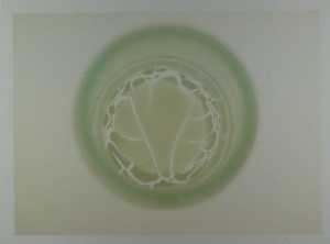 spot-2001-06