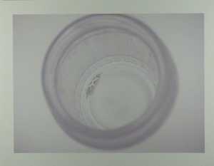 spot-2001-07