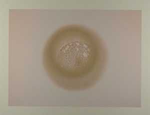 spot-2001-08
