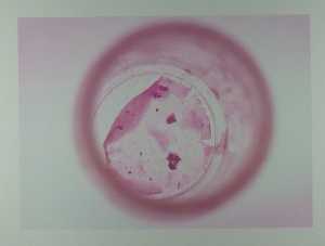 spot-2001-10