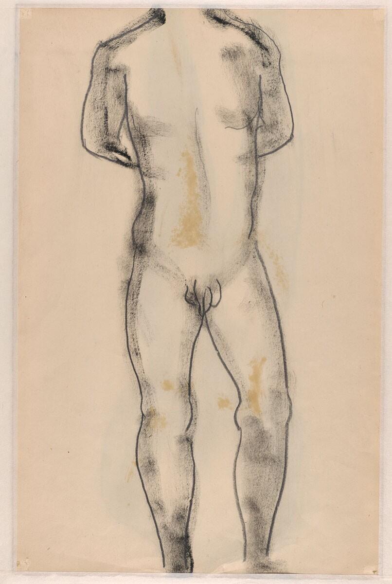 Torso