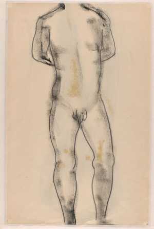 torso