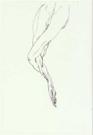 entaglement-1