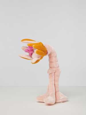 kleine-orchidee