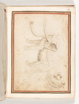 Fol. 18 recto