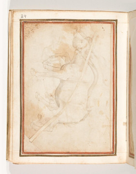 Fol. 17 verso