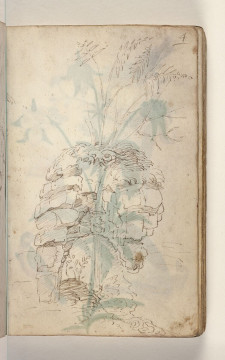 Fol. 4 recto