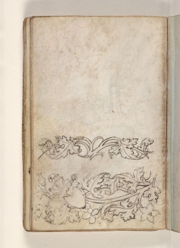 Fol. 24 verso