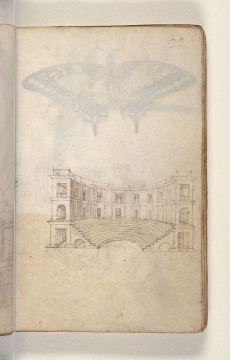 Fol. 20 recto