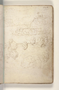 Fol. 32 recto