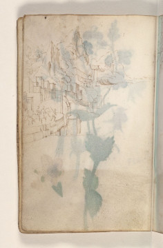 Fol. 11 verso