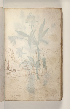Fol. 10 recto