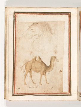 Fol. 14 verso