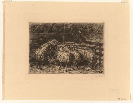 Afb. 21. Jacoba de Graaff, ‘Schapenstal met herder’, ca. 1910, ets, drogenaald en plaattoon op papier, 140 x 198 mm, Museum Boijmans Van Beuningen, Rotterdam
