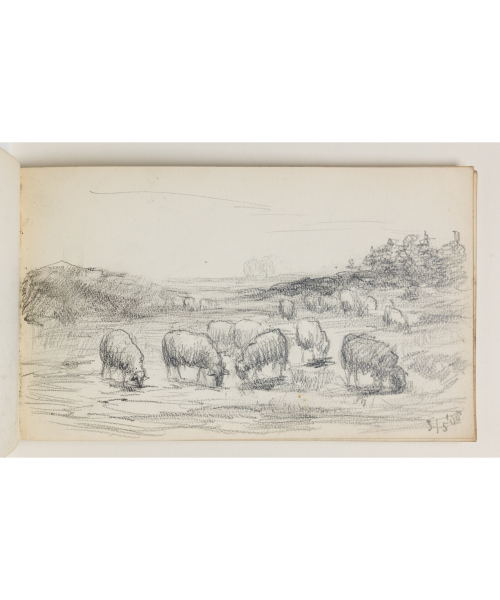Afb. 23. Jacoba de Graaff, ‘Schets van een Drents heidelandschap met schapen’, 1908, potlood op papier, 140 x 230 mm, Museum Boijmans Van Beuningen, Rotterdam
