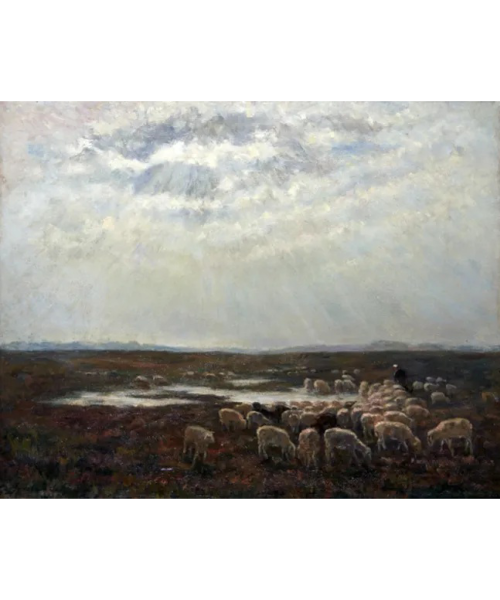 Afb. 22. Jacoba de Graaff, ‘Heide bij Aalden’, 1899, olieverf op doek, 51 x 64 cm, particuliere collectie